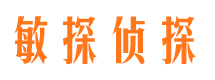 临城市场调查